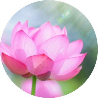 スタッフ プイの画像